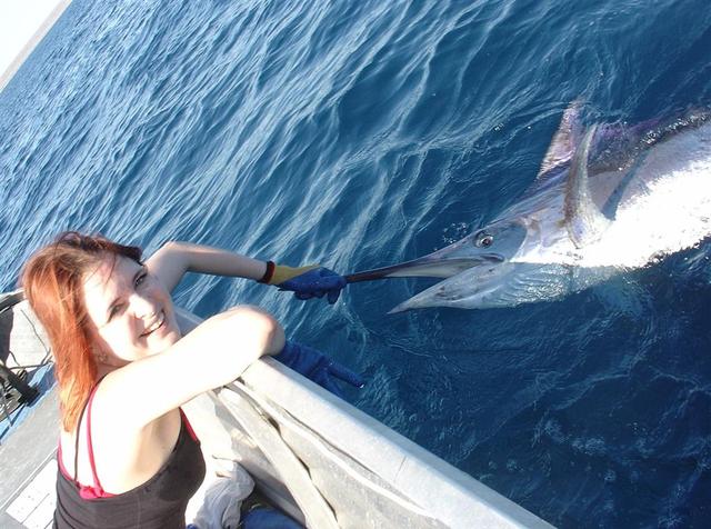 Billfish release